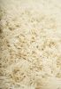 Shag Ivory Area Rug 5x8