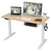 48-Inch Electric Standing Adjustable Desk with Control Panel and USB Port