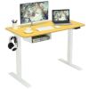 48-Inch Electric Standing Adjustable Desk with Control Panel and USB Port